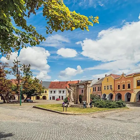 아파트호텔 Skodova Přerov