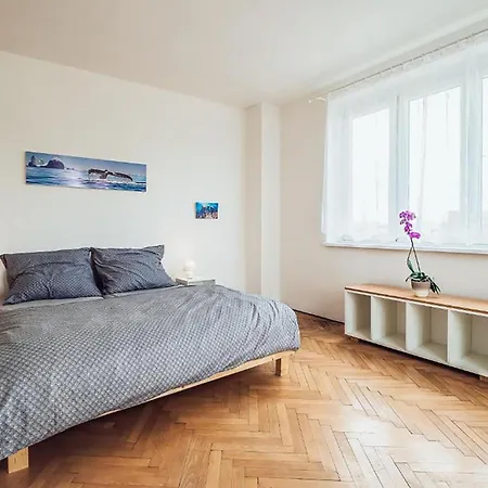 Skodova 4